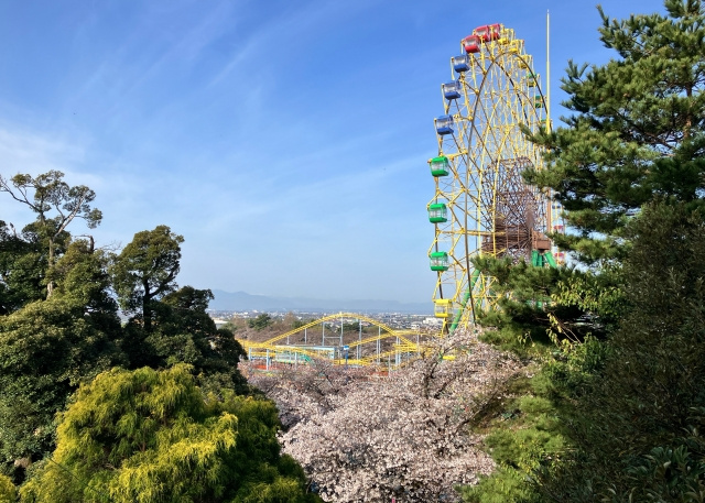 「伊勢崎市の平屋暮らしの魅力」の画像