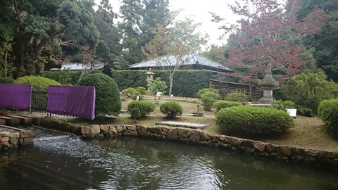 正倉院展の画像