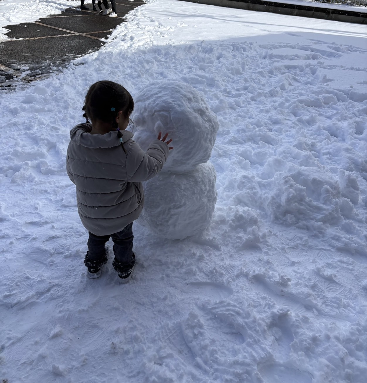 雪の画像