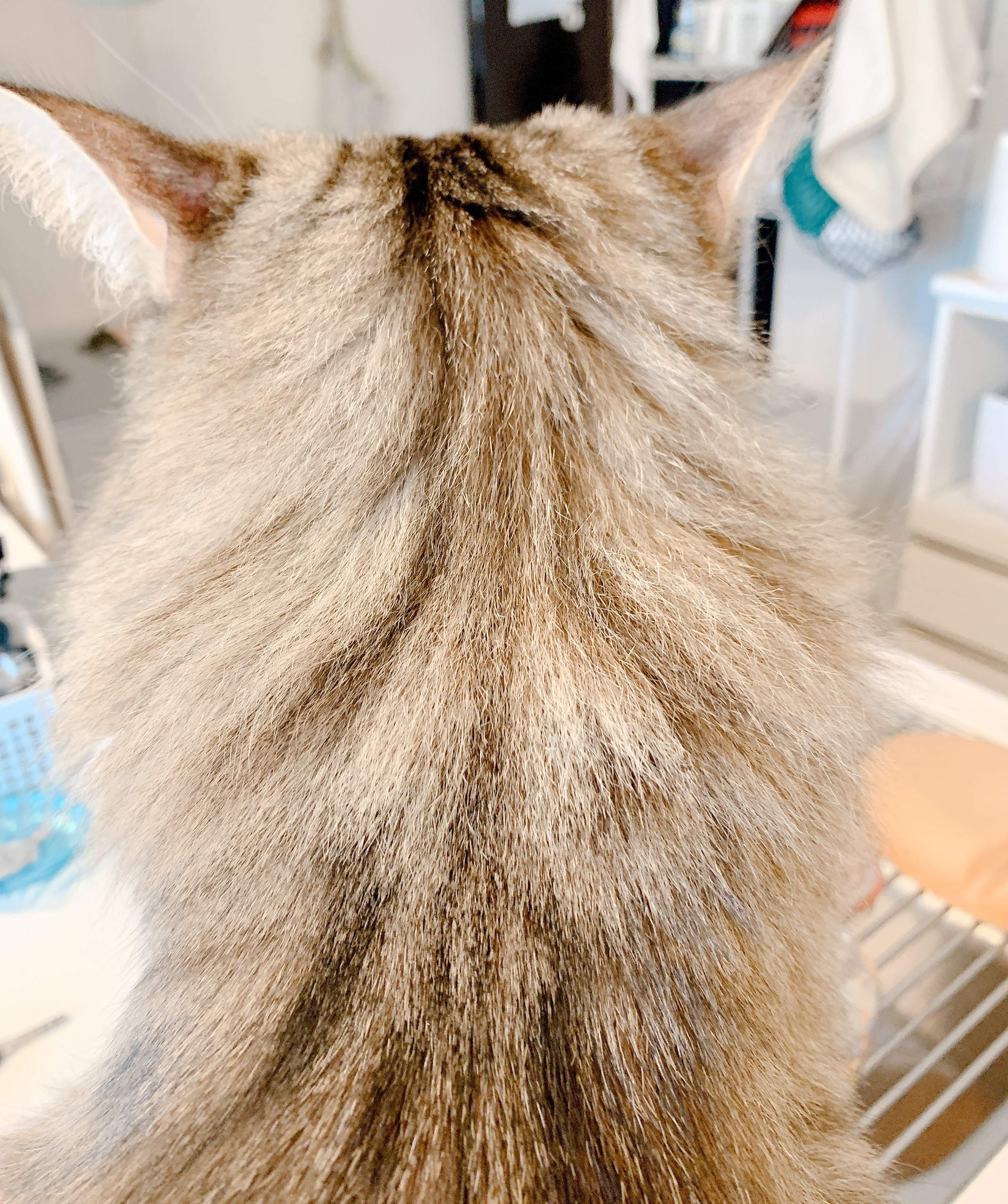 寒さに負けない！！気合いだーー(^^)/の画像