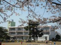 結城市にある城南小学校の魅力を徹底紹介！地域に根ざした教育環...の画像