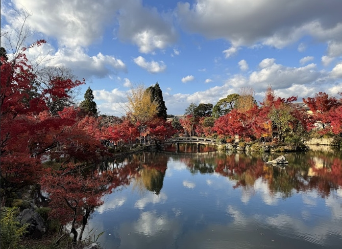 京都で何が人気？業種ランキングをご紹介の画像