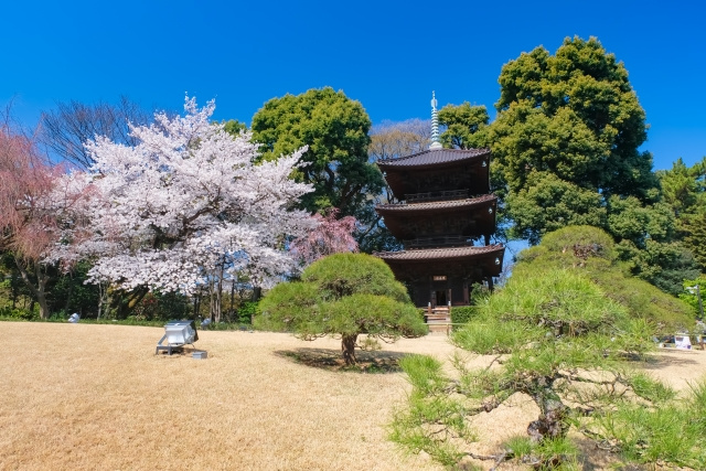 文京区の女性向け賃貸ガイド｜安全で快適な住まい選びのポイント...の画像