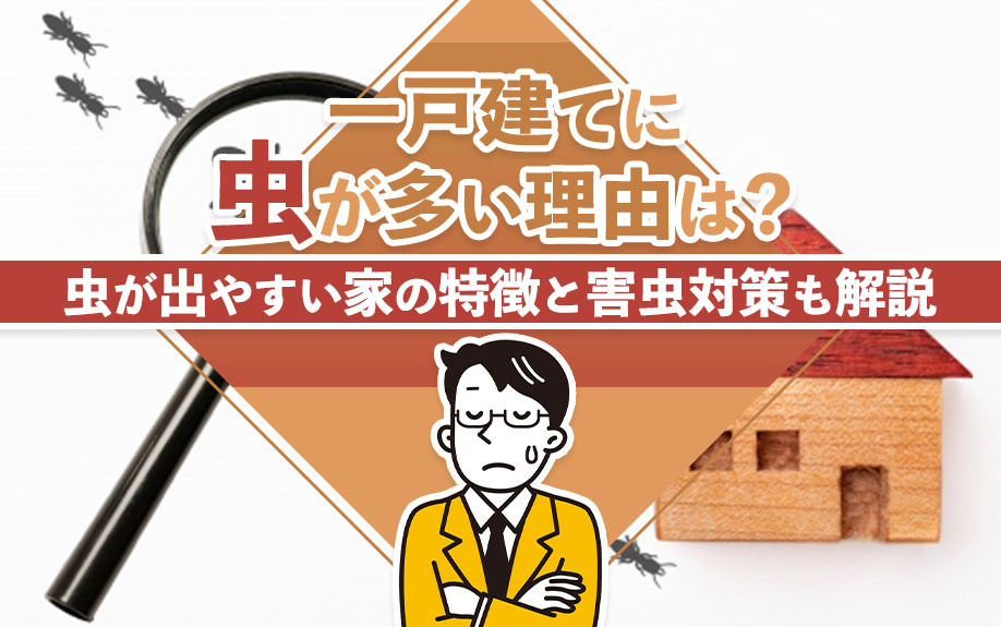 一戸建てに虫が多い理由は？虫が出やすい家の特徴と害虫対策も解説の画像
