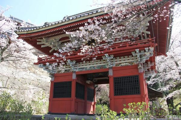 茨城・桜川市の名所『雨引の桜』お花見スポット＆ライトアップ情...の画像