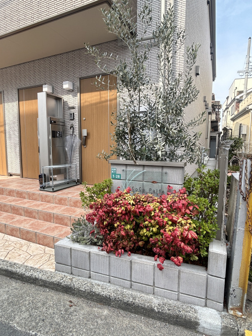 ココパルフェの画像