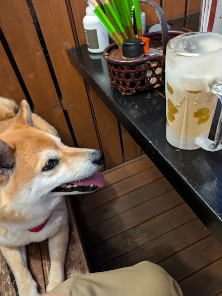 店長オススメの居酒屋さんの画像