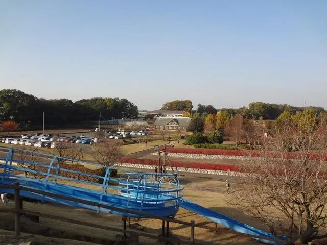 下野市の自然豊かな『蔓巻公園』で遊ぼう！四季を感じる散策・B...の画像