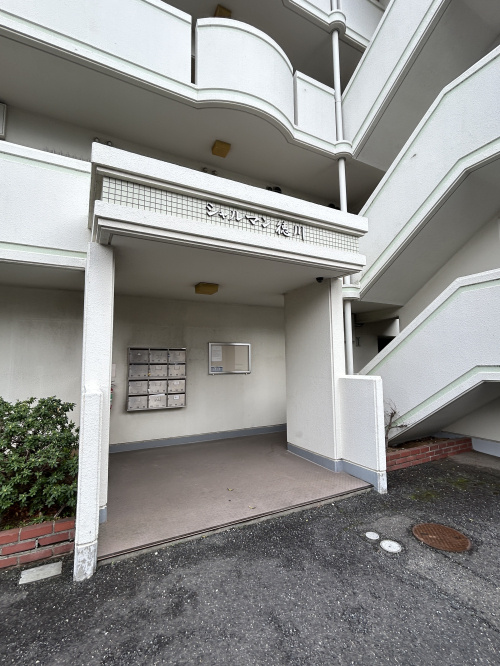 シャルマン徳川の画像