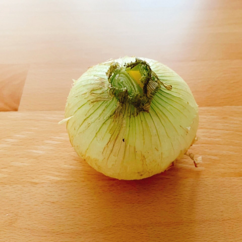 新の画像