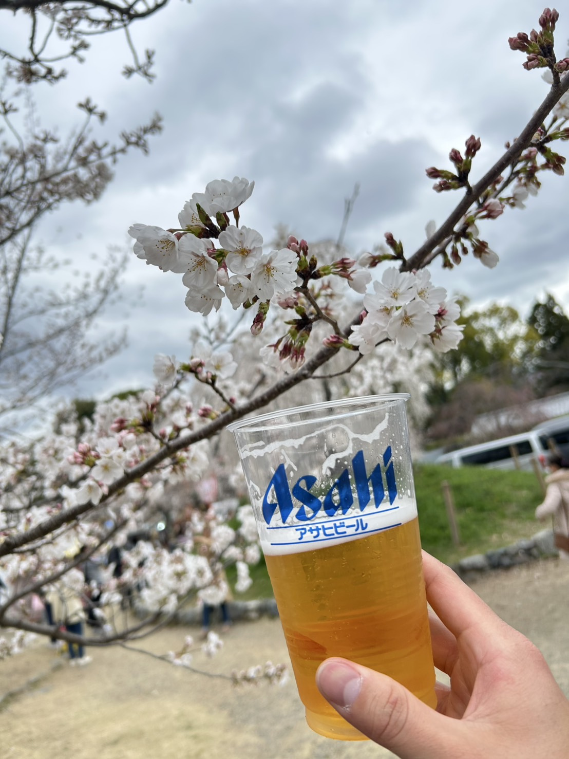 お花見の画像