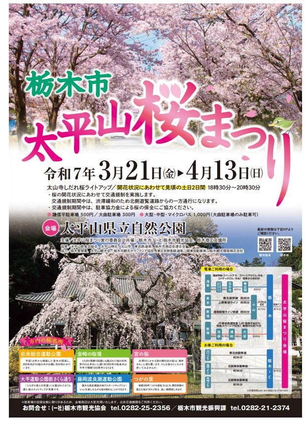 栃木市の春イベントといえば太平山桜まつり！ライトアップは週末...の画像