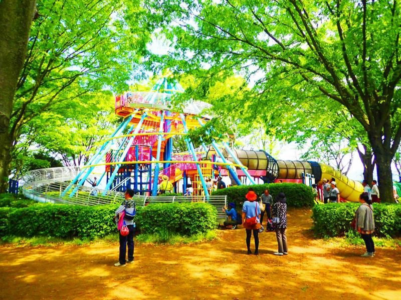 筑西市で親子に人気！子どもと一緒に行きたい遊び場まとめ5選！...の画像
