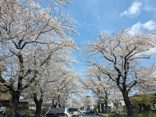 住所変更登記を法務局におまかせの画像