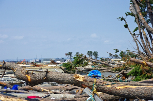 地震から市民を守る 茅ヶ崎市のさまざまな取り組み リビングボイス