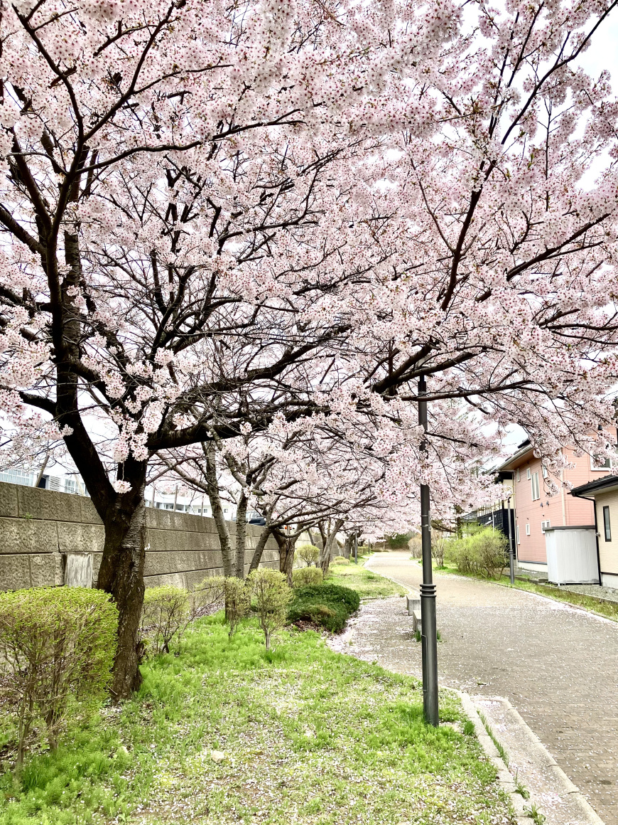 オープンから1ヶ月の画像