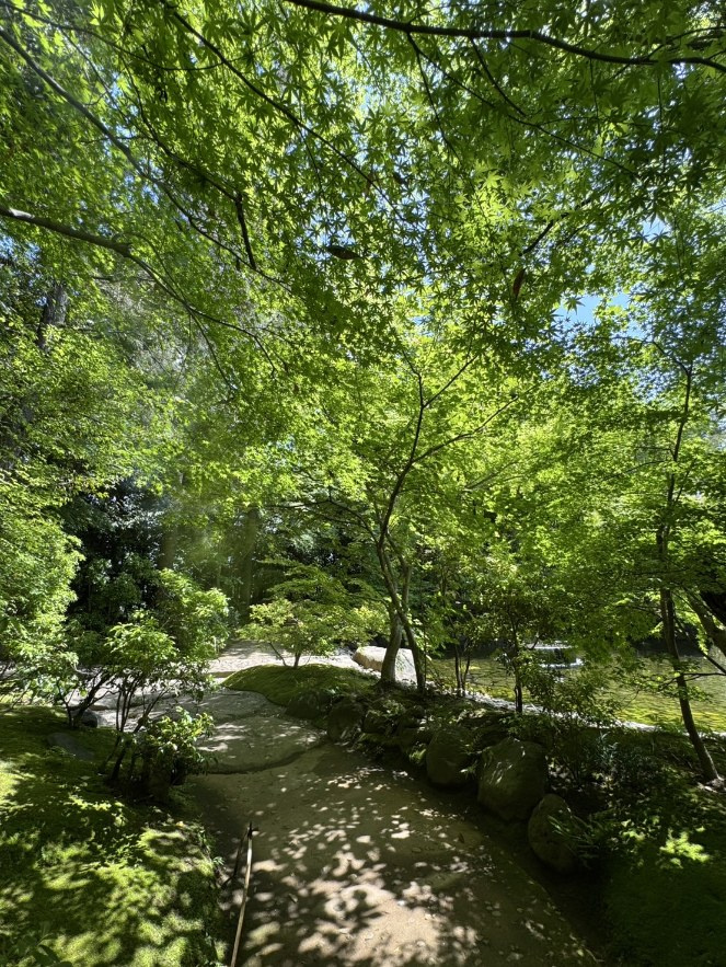 毎月恒例　寒川神社の月次祭の画像