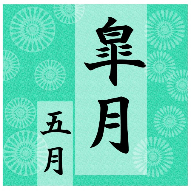皐月の画像