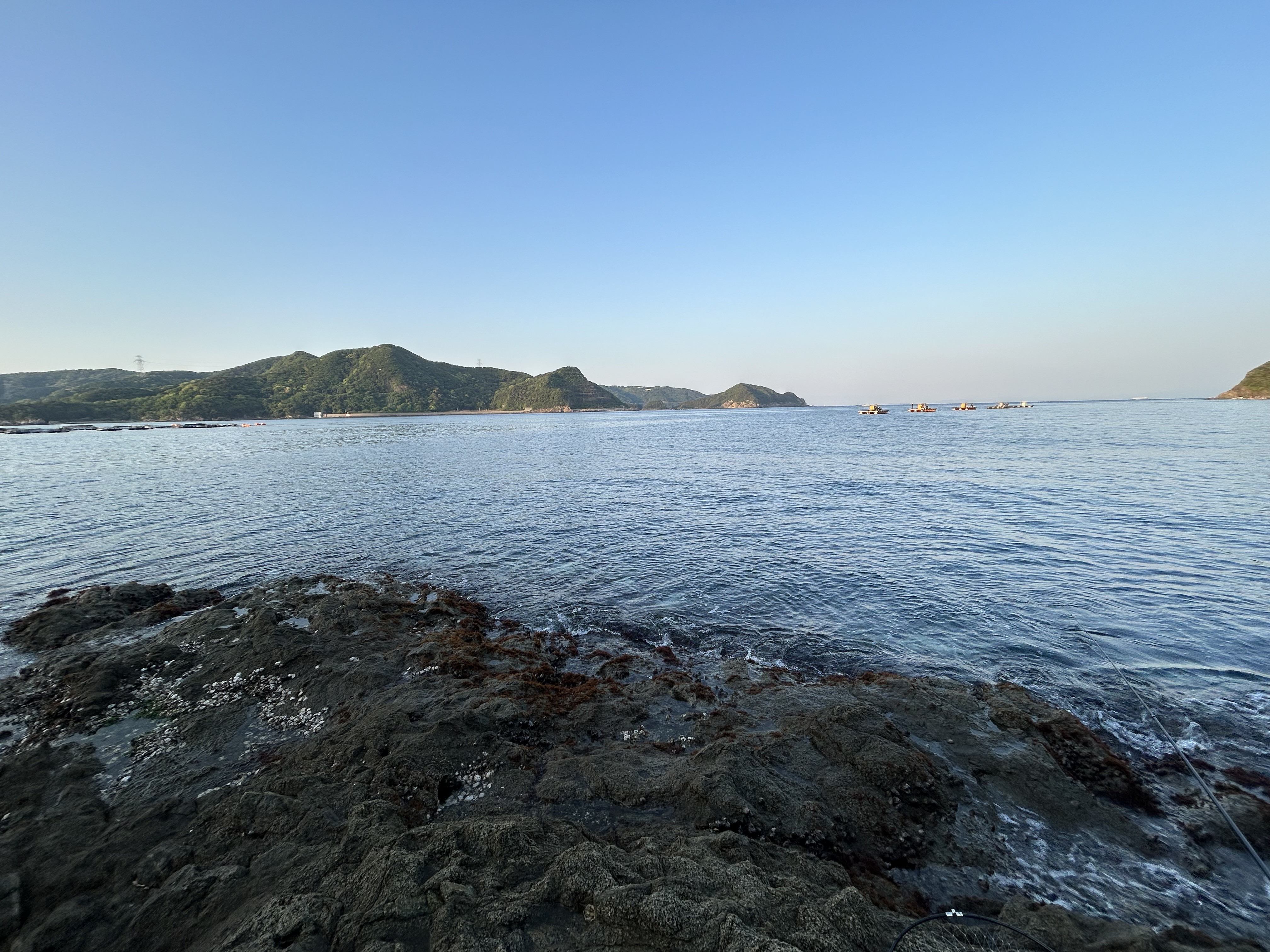 ☆リベンジ☆の画像