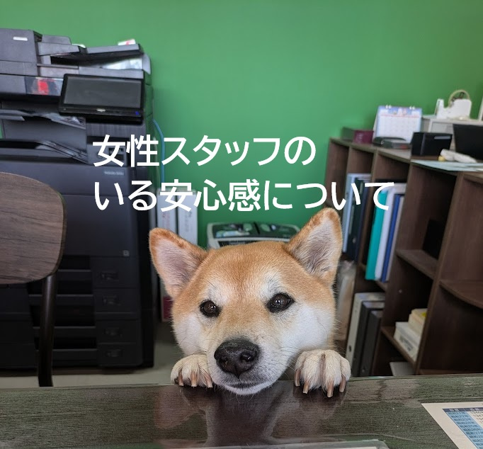 女性スタッフがいるから安心！日向市で賃貸不動産を探す方への画像