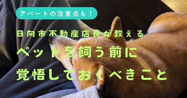 日向市の不動産店長が教える！ペットを飼う前に絶対知っておきた...の画像