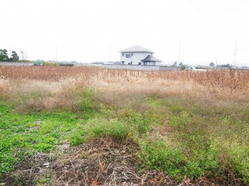 資産（不動産）の最適化と最大化を図る！の画像