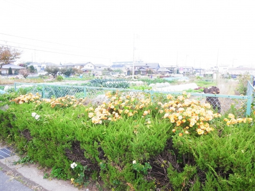 前橋市上小出町の土地の画像