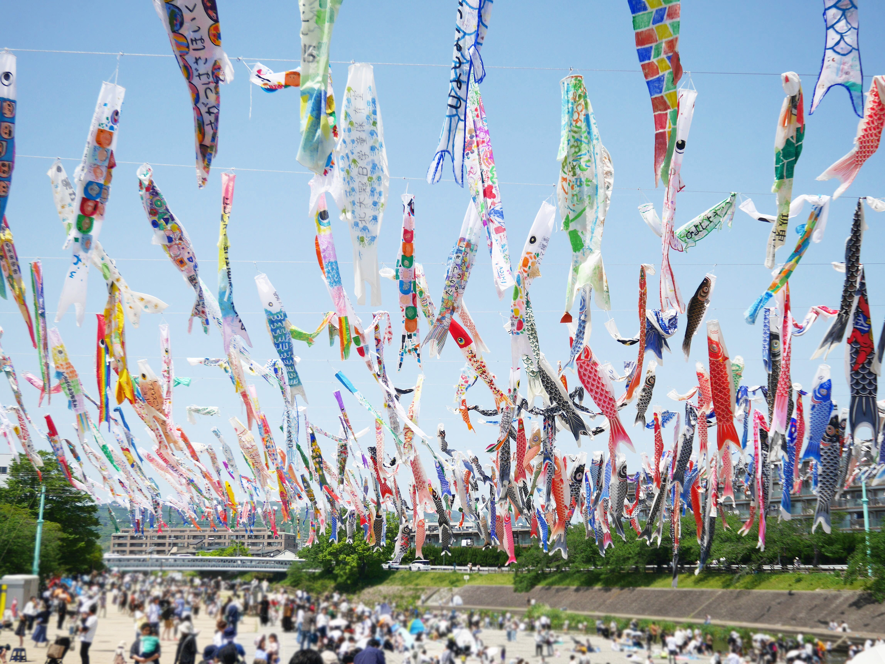 高槻市 芥川桜堤公園の鯉のぼりの画像