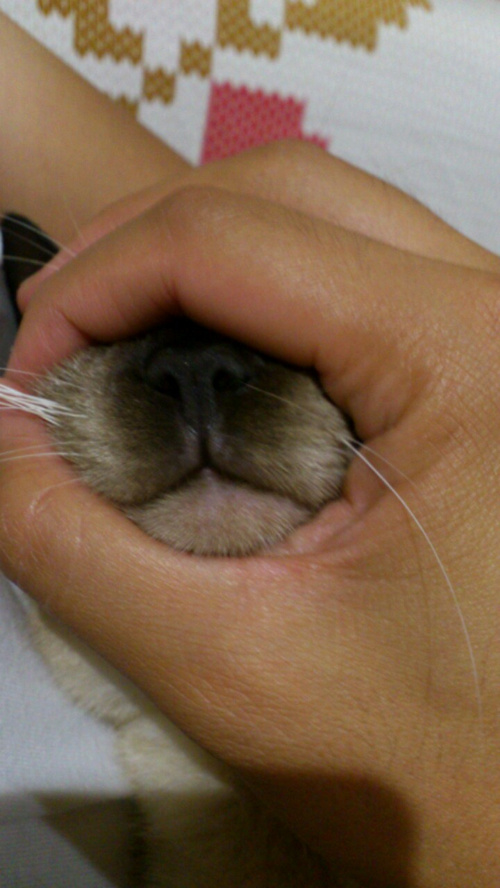 日々仕事をしながら思う事。の画像