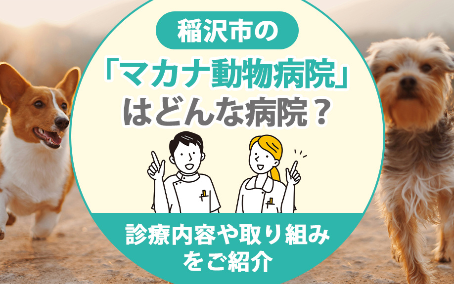 【2025年】稲沢市の「マカナ動物病院」はどんな病院？診療内...の画像