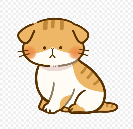 新しい仲間が加入しました！！(=^・^=)の画像