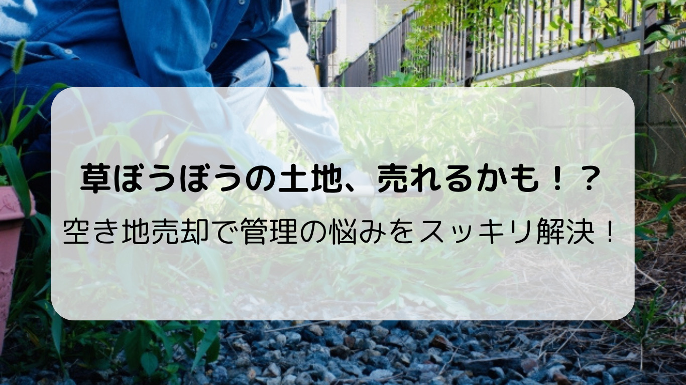 小山市の空き地が“草だらけ”…管理が面倒になった土地の売却術...の画像