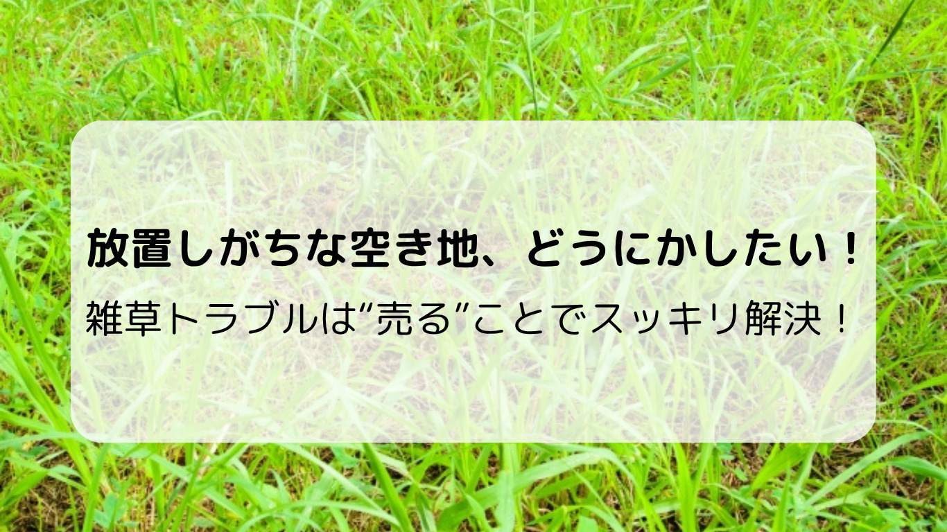 筑西市の空き地を放置していませんか？雑草トラブルと売却の選択...の画像