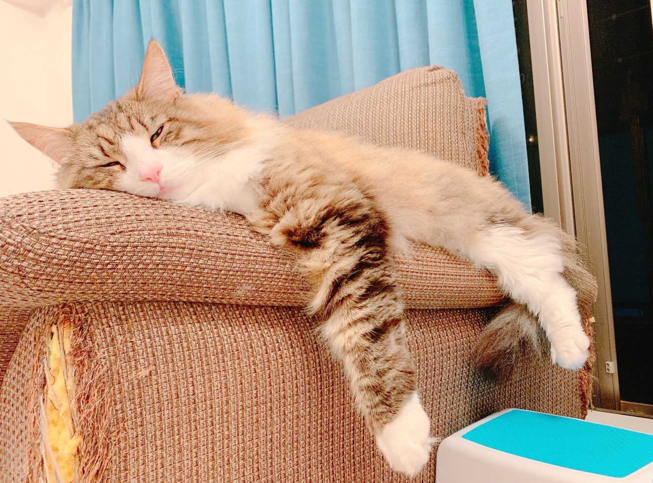 健康診断ネタは書かれちゃったので別のにします・・・の画像