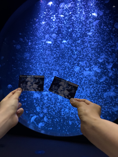 安全に夏を乗り切るためにの画像