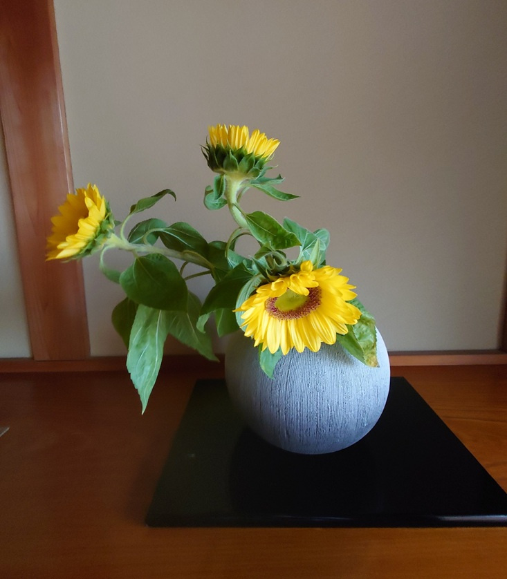 訪問査定に行ってきましたの画像
