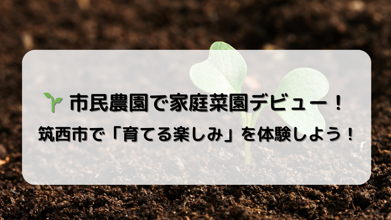 筑西市の市民農園で家庭菜園デビュー！初心者やファミリーにもお...の画像