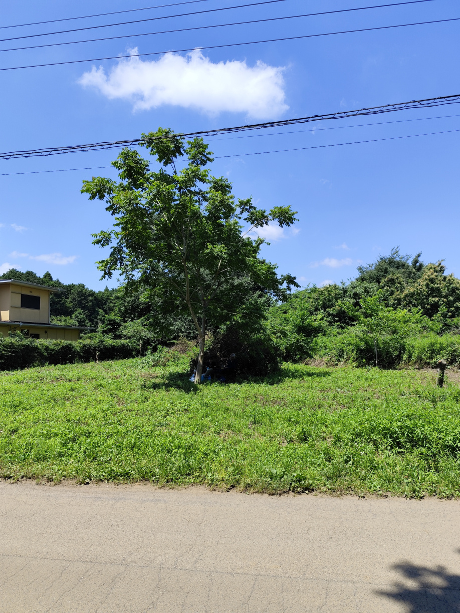 おじいさんは山に柴刈りに、そして海の画像