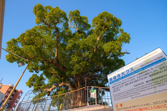 【磐田市不動産売却】磐田市の不動産売却を徹底サポート！地元専...の画像