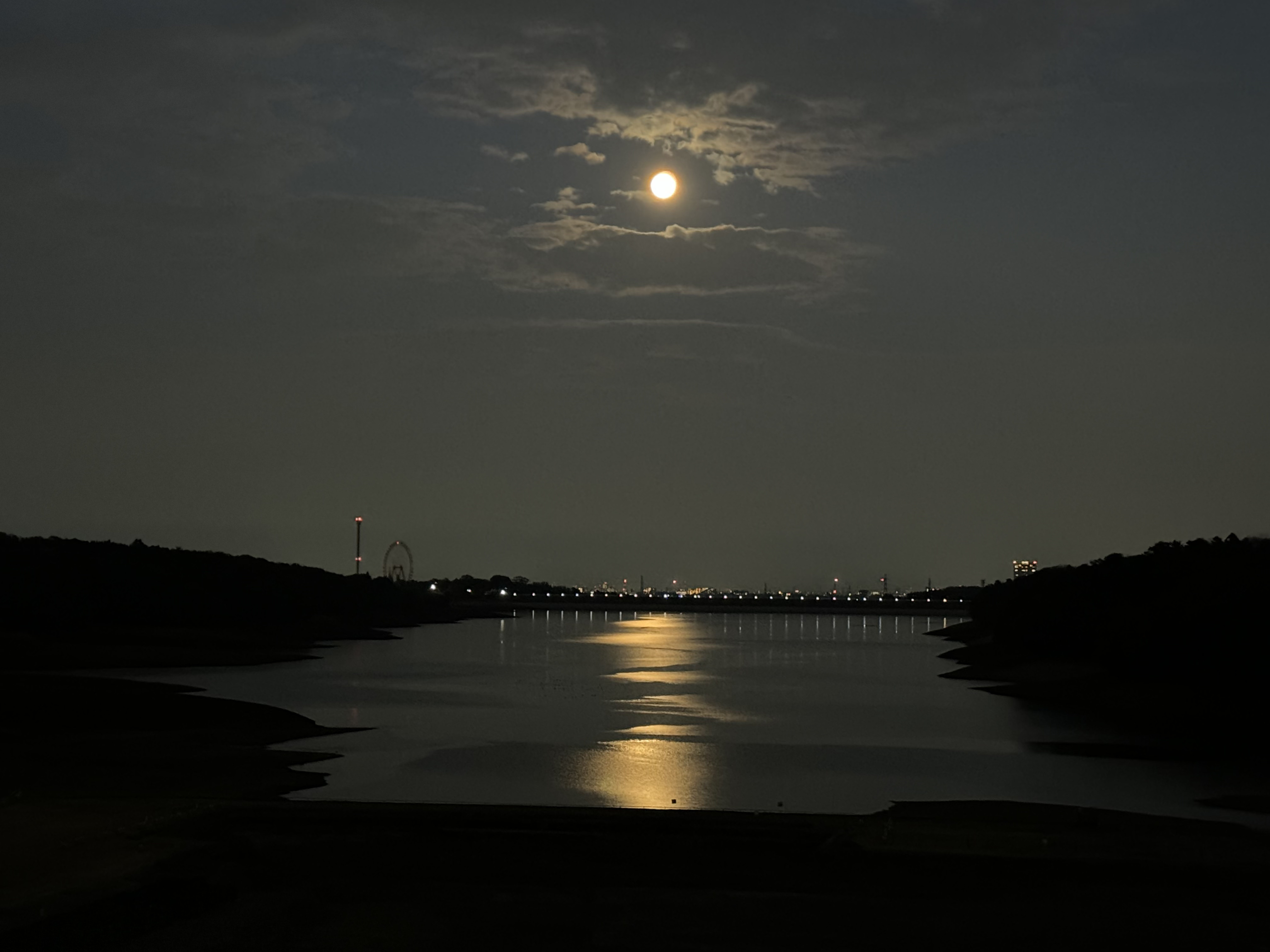東大和市の自然の魅力：多摩湖の画像
