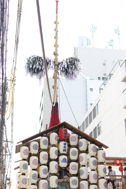 京都の梅雨明けは過去と比べて早い？比較データと降水量も紹介の画像