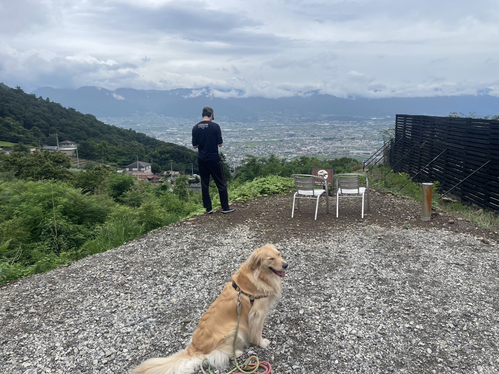 「【ソログル】部長桑山」の画像