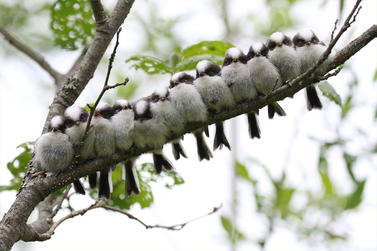 月曜日は初めの日！とは限りませんの画像