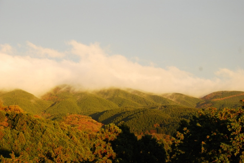 自然豊かな平塚市土屋エリアでマイホーム探し【仲介手数料無料】の画像