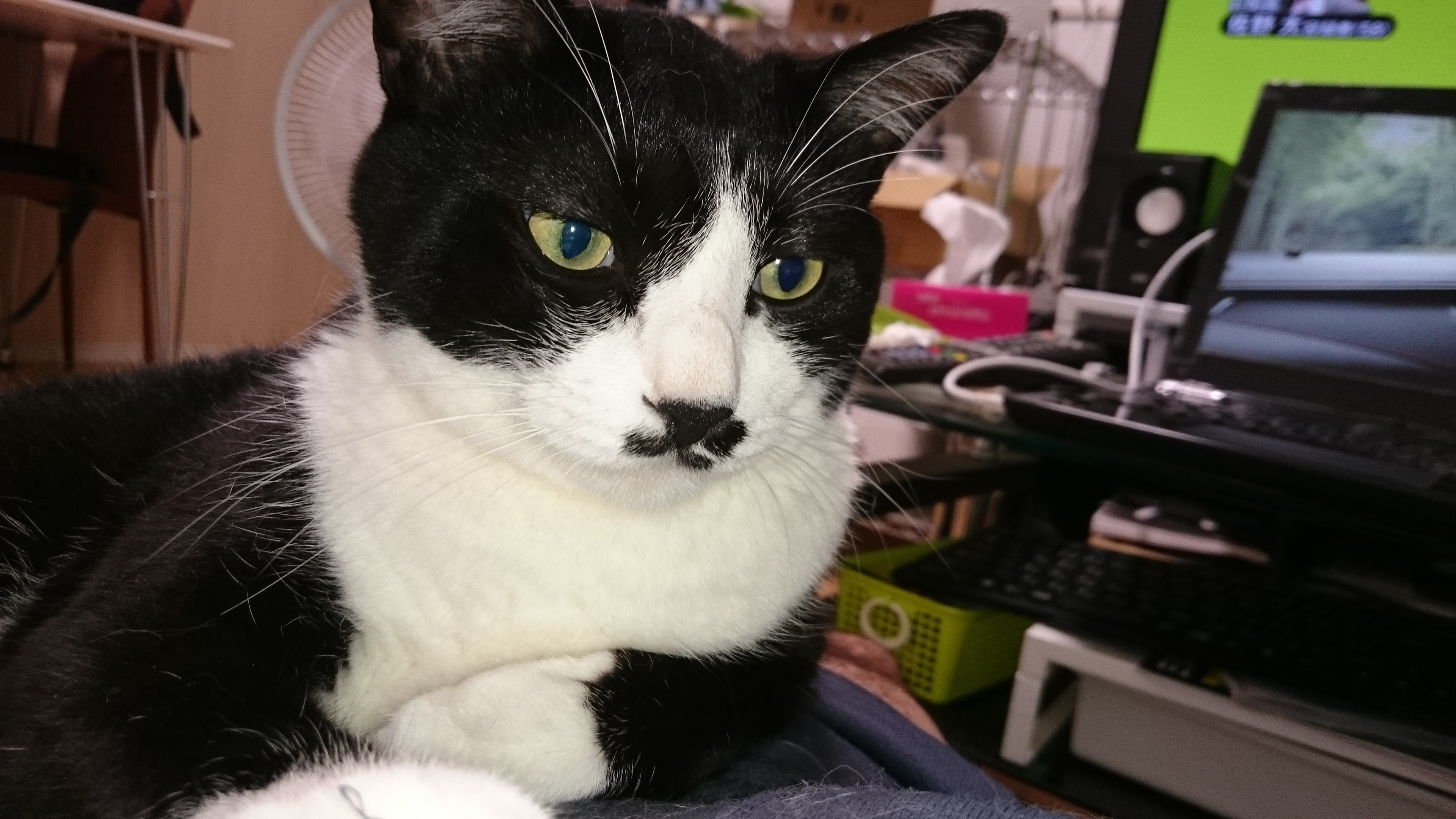 ホームページリニューアルしましたの画像