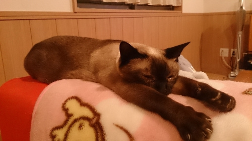 仕事と遊びについての画像