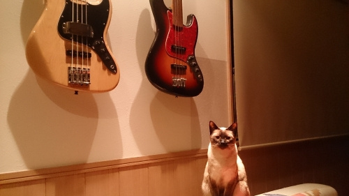 よいお年をの画像