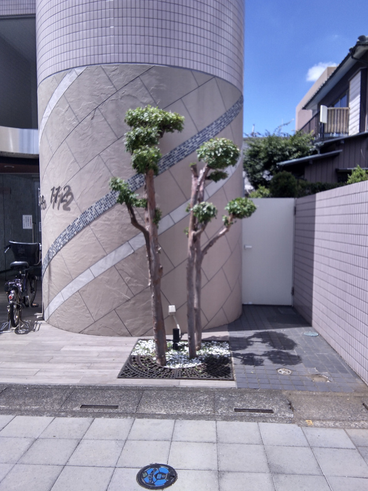 「植栽剪定」の画像