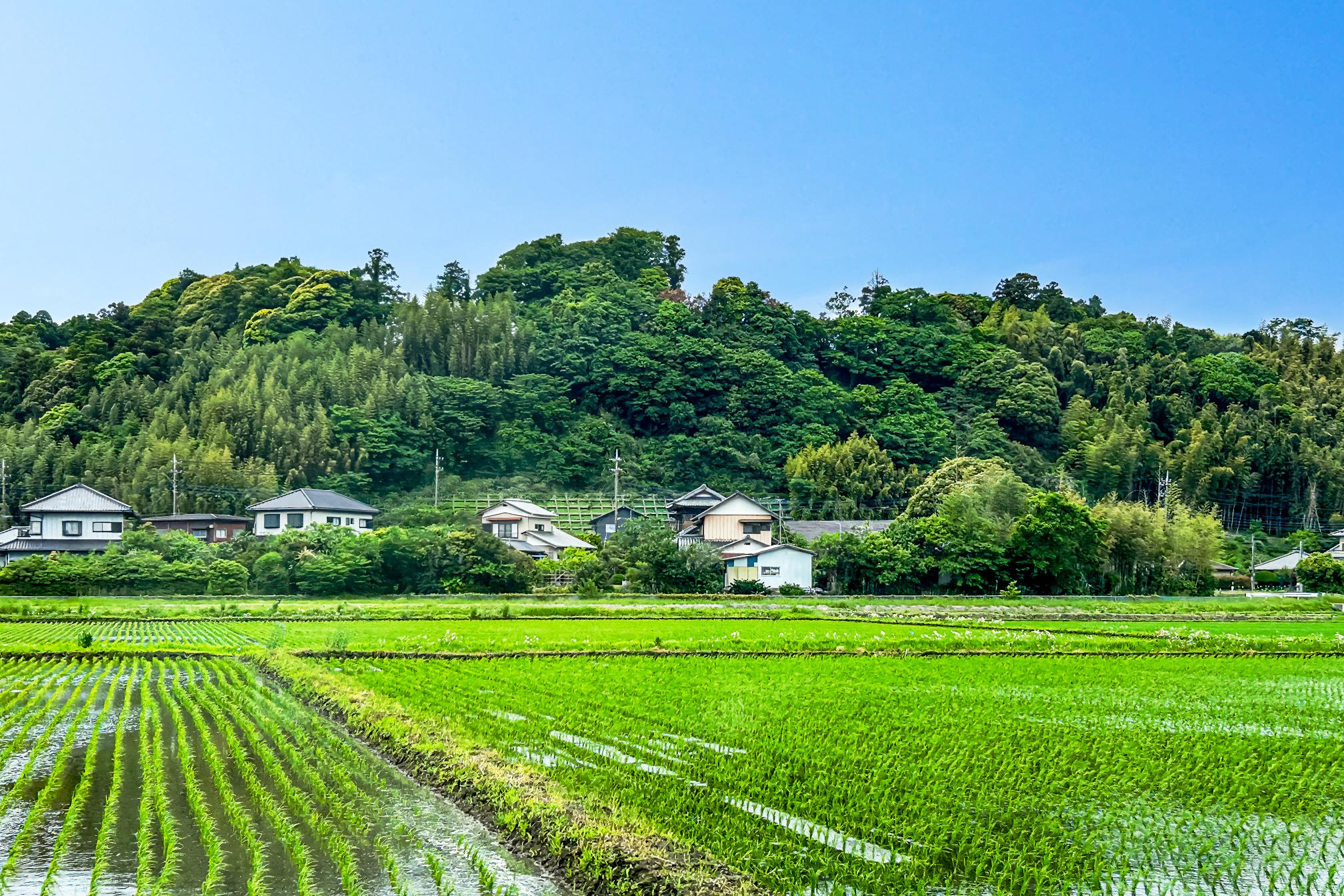 田舎暮らし希望者必見！地方中古戸建の魅力の画像