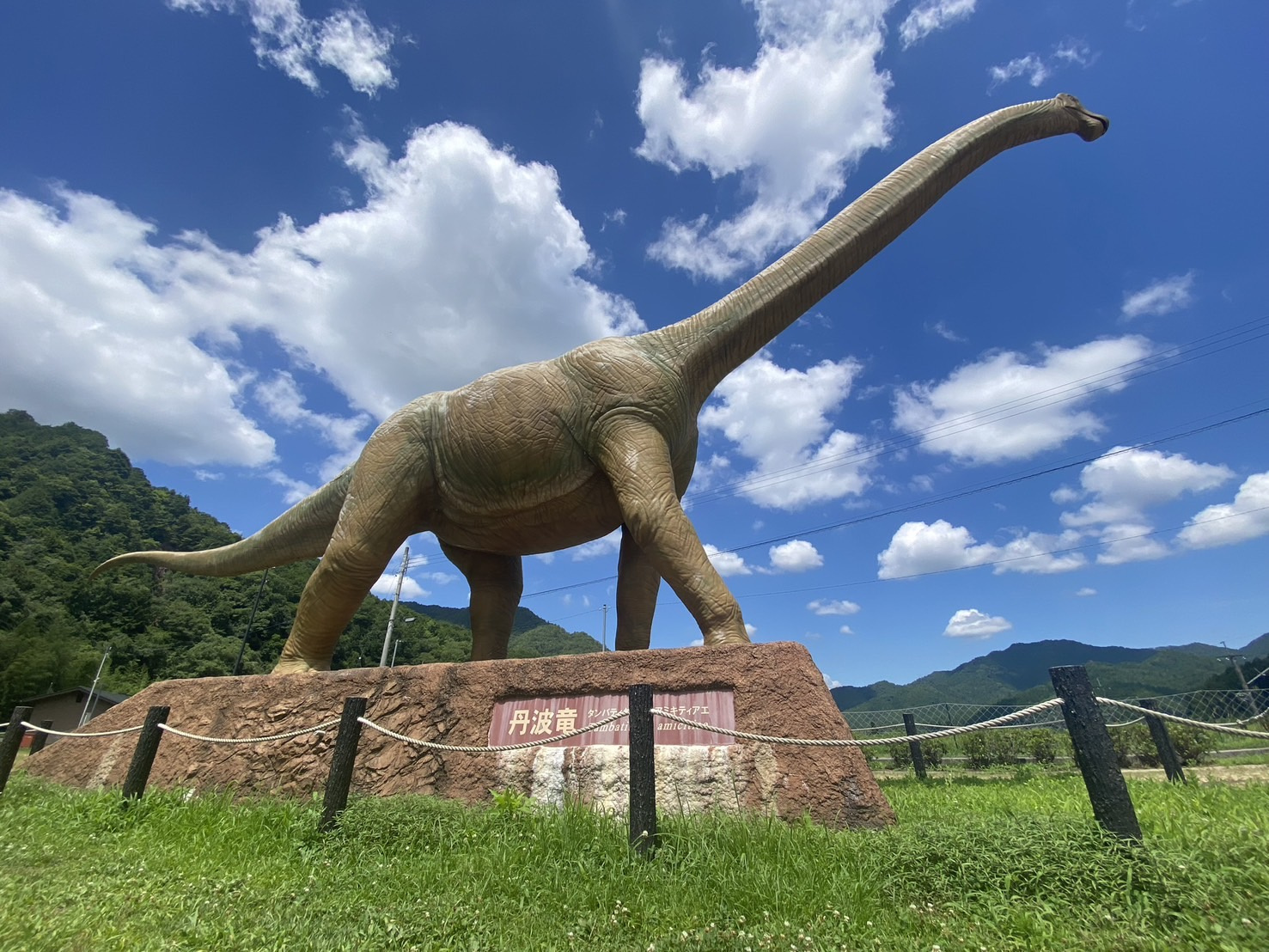 まるでジュラシック・ワールド！の画像